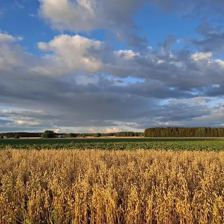 Levomaeki Farm Bauernhof