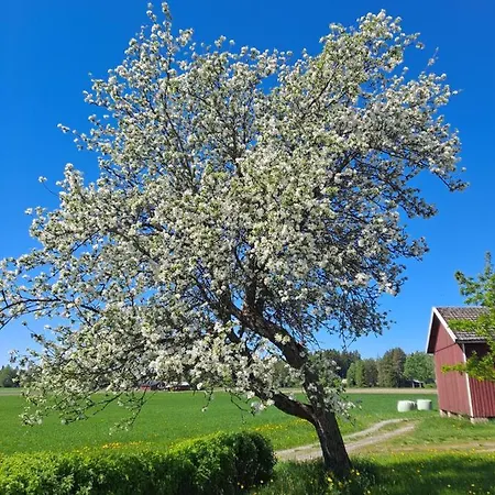 팜스테이 Levomaeki Farm *