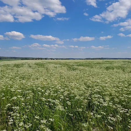 Levomaeki Farm Bauernhof