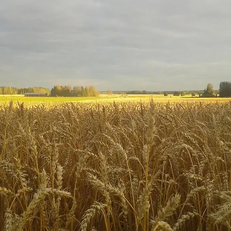 Agroturismo Levomaeki Farm Ypaja