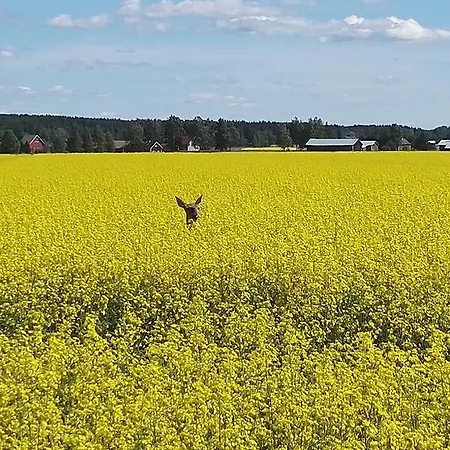 Levomaeki Farm Фермерский дом Ypaja