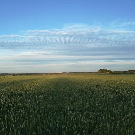 Levomaeki Farm Ypaja