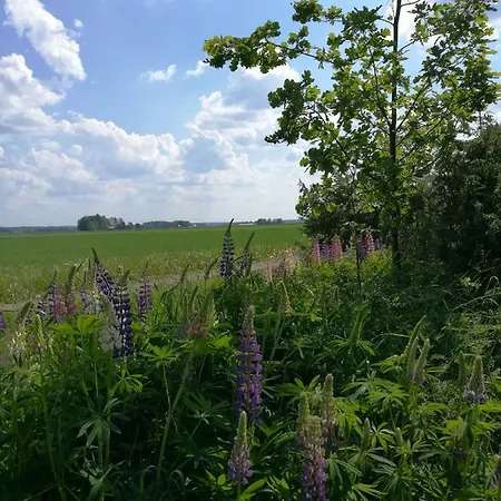 Фермерский дом Levomaeki Farm Ypaja