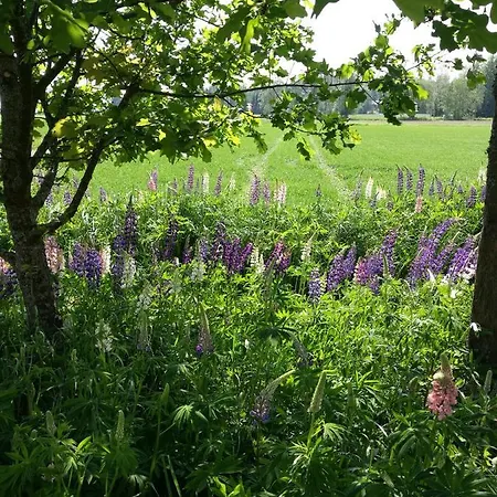 Фермерский дом Levomaeki Farm *